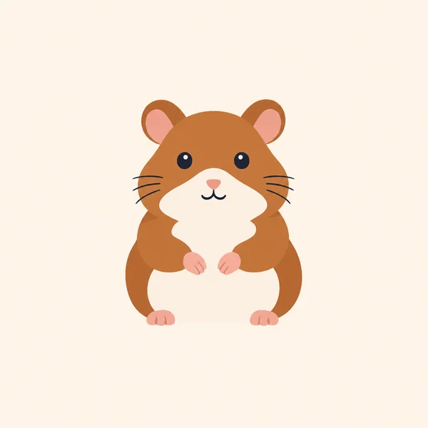 A plain, ordinary hamster sitting still on a blank background